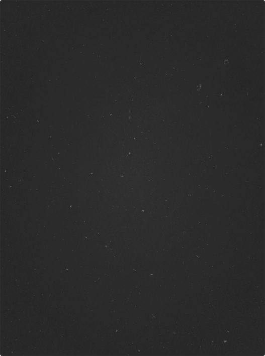 Let’s Build Something Great Together