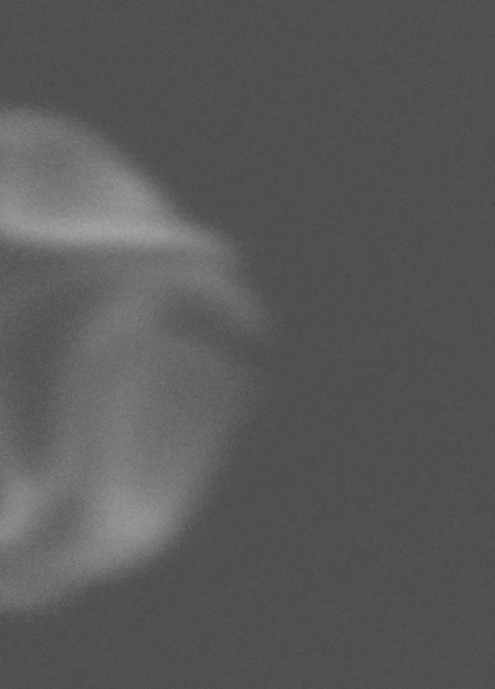 High‑Quality WordPress Development & Support for Agencies and Small Businesses